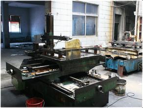 生態(tài)鴨子