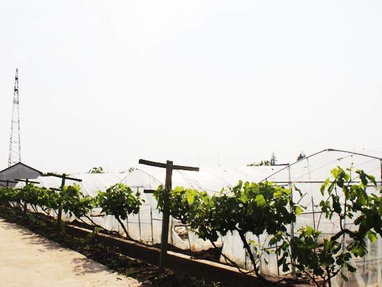 農莊環(huán)境