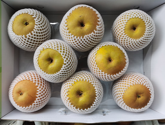 生態(tài)梨