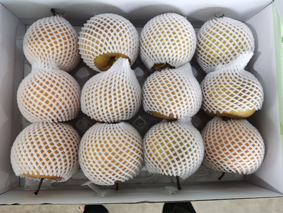 生態(tài)梨