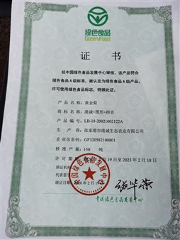 榮譽證書