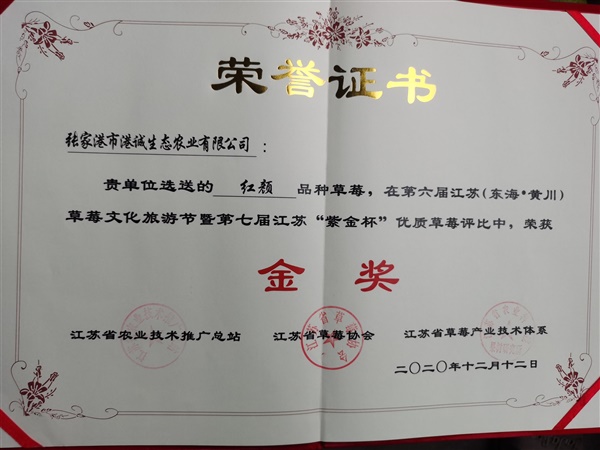 榮譽證書