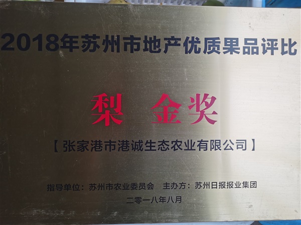 榮譽證書